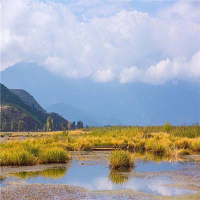 建设黄河流域生态保护和高质量发展先行区 在中国式现代化建设中谱写好宁夏篇章